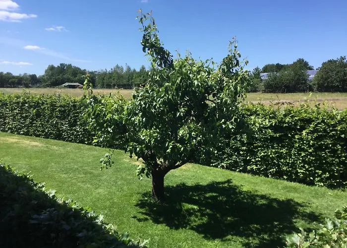 Bed & Breakfast Bennekom Bed & Breakfast