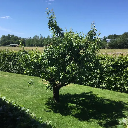 Bed & Breakfast Bennekom Alojamento de Acomodação e Pequeno-almoço