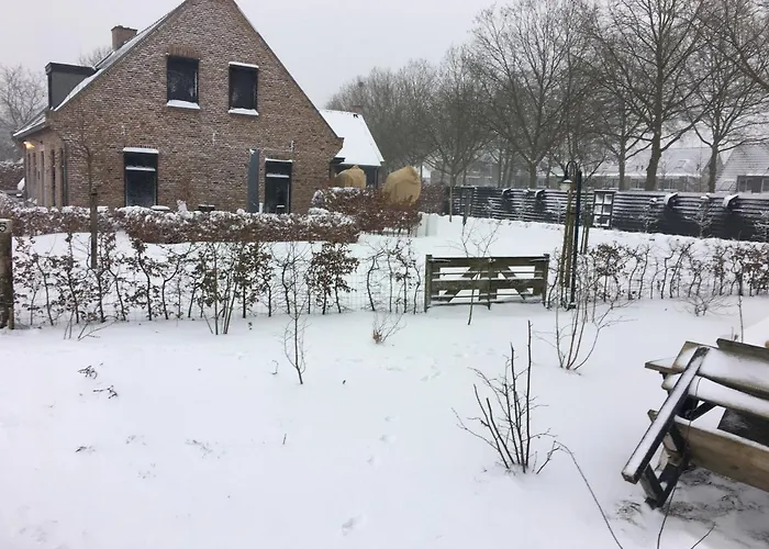 Bed & Breakfast Bed & Breakfast Bennekom Bennekom